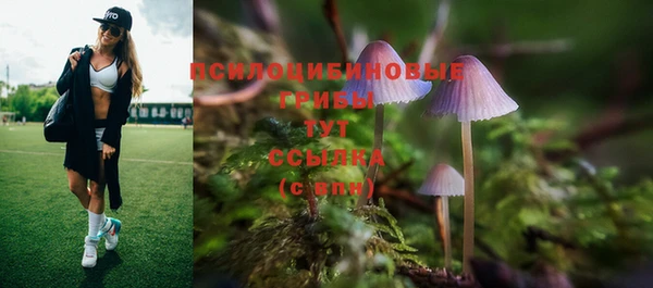 мет Богородицк