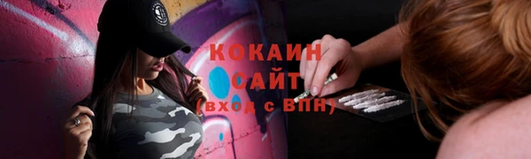 спиды Богородск