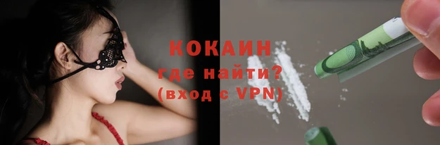 мет Бородино