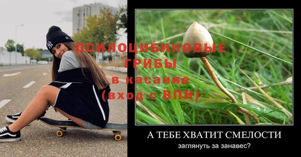 прущие крисы Богданович
