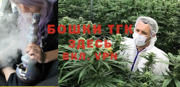 спиды Богородск